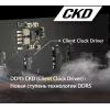 Память DDR5 16GB 6400MHz Patriot PSD516G64081C Signature RTL PC5-51200 CL52 DIMM 288-pin 1.1В single rank Ret