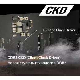Память DDR5 16GB 6400MHz Patriot PSD516G64081C Signature RTL PC5-51200 CL52 DIMM 288-pin 1.1В single rank Ret