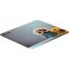 Коврик для мыши Cactus Owl gray рисунок 300x250x3мм (CS-MPC-D12M)