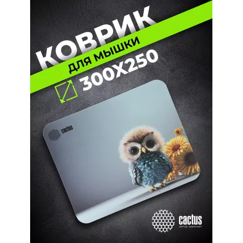Коврик для мыши Cactus Owl gray рисунок 300x250x3мм (CS-MPC-D12M)