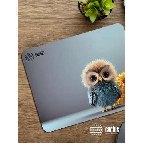 Коврик для мыши Cactus Owl gray рисунок 300x250x3мм (CS-MPC-D12M)