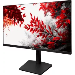Монитор RDW Computers 31.5" RDW3207 черный IPS 1ms 16:9 HDMI M/M полуматовая HAS Piv 1000:1 350cd 178гр/178гр 2560x1440 100Hz G-Sync FreeSync VGA DP QHD USB (RUS)
