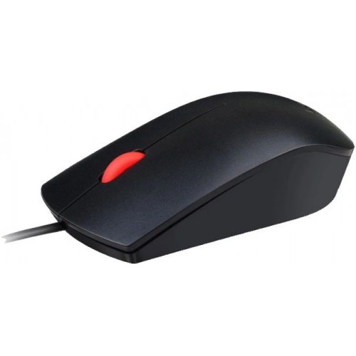 Мышь Lenovo Essential черный оптическая 1600dpi USB 2but (4Y50R20863)