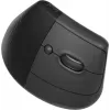 Мышь Logitech Lift графитовый оптическая 4000dpi silent беспров. BT/Radio USB для ноутбука 5but (910-006485)