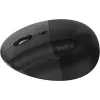 Мышь Logitech Lift графитовый оптическая 4000dpi silent беспров. BT/Radio USB для ноутбука 5but (910-006485)