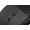 Мышь Logitech Lift графитовый оптическая 4000dpi silent беспров. BT/Radio USB для ноутбука 5but (910-006485)