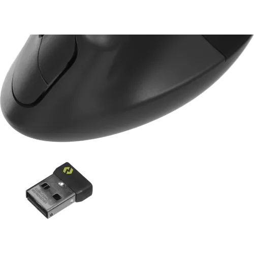 Мышь Logitech Lift графитовый оптическая 4000dpi silent беспров. BT/Radio USB для ноутбука 5but (910-006485)
