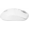 Мышь MSI VERSA 300 W MS-8ZBD белый оптическая 8000dpi беспров. BT/Radio USB 5but (S12-4301440-CLA)