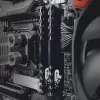Память DDR4 16GB 3200MHz Patriot PSP416G3200H1 Signature Premium RTL PC4-25600 CL22 DIMM 288-pin 1.2В dual rank с радиатором Ret