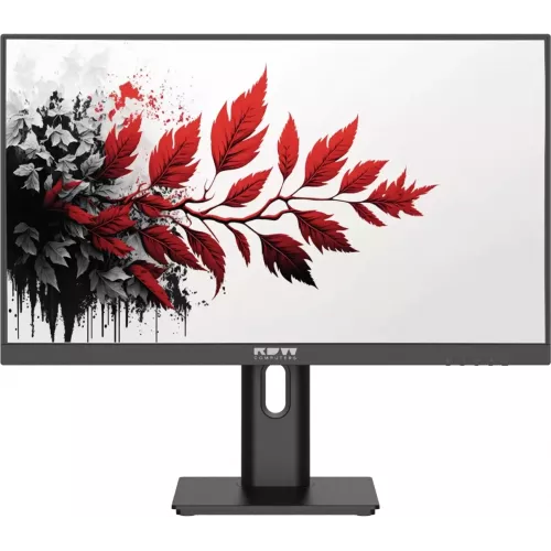 Монитор RDW Computers 27" RDW2701K черный IPS 5ms 16:9 HDMI M/M матовая HAS Piv 1000:1 300cd 178гр/178гр 1920x1080 120Hz VGA DP FHD (RUS)