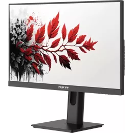 Монитор RDW Computers 27" RDW2701K черный IPS 5ms 16:9 HDMI M/M матовая HAS Piv 1000:1 300cd 178гр/178гр 1920x1080 120Hz VGA DP FHD (RUS)