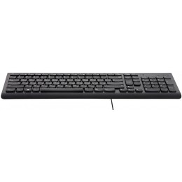 Клавиатура Lenovo 300 черный USB для ноутбука (GX30M39684) кабель 1.8м