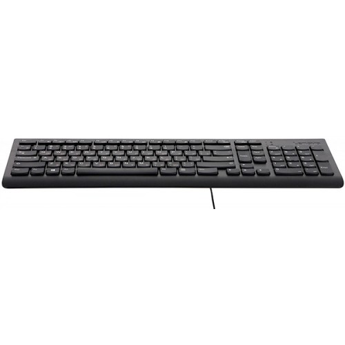 Клавиатура Lenovo 300 черный USB для ноутбука (GX30M39684) кабель 1.8м