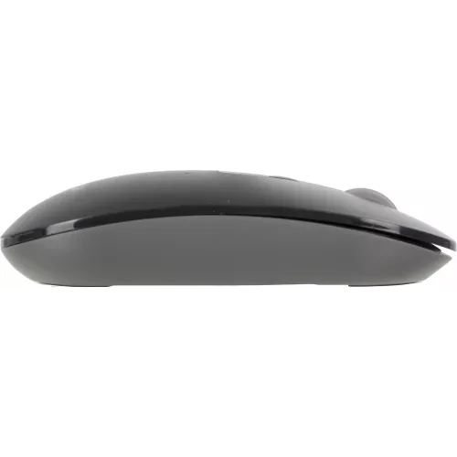 Мышь A4Tech Fstyler FG20 серый оптическая 2000dpi беспров. USB для ноутбука 4but (FG20 GREY)