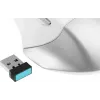 Мышь A4Tech Fstyler FB35 белый/серый оптическая 2000dpi беспров. BT/Radio USB для ноутбука 6but (FB35 ICY WHITE)
