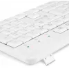 Клавиатура Оклик K225W белый USB беспроводная Multimedia (1875235)