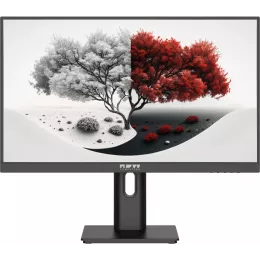 Монитор RDW Computers 23.8" RDW2401K черный IPS 4ms 16:9 HDMI M/M матовая HAS Piv 1200:1 300cd 178гр/178гр 1920x1080 100Hz VGA DP FHD 1.7кг (RUS)