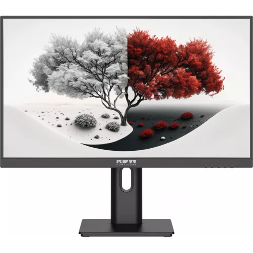 Монитор RDW Computers 23.8" RDW2401K черный IPS 4ms 16:9 HDMI M/M матовая HAS Piv 1200:1 300cd 178гр/178гр 1920x1080 100Hz VGA DP FHD 1.7кг (RUS)
