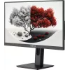 Монитор RDW Computers 23.8" RDW2401K черный IPS 4ms 16:9 HDMI M/M матовая HAS Piv 1200:1 300cd 178гр/178гр 1920x1080 100Hz VGA DP FHD 1.7кг (RUS)