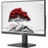 Монитор RDW Computers 23.8" RDW2401K черный IPS 4ms 16:9 HDMI M/M матовая HAS Piv 1200:1 300cd 178гр/178гр 1920x1080 100Hz VGA DP FHD 1.7кг (RUS)