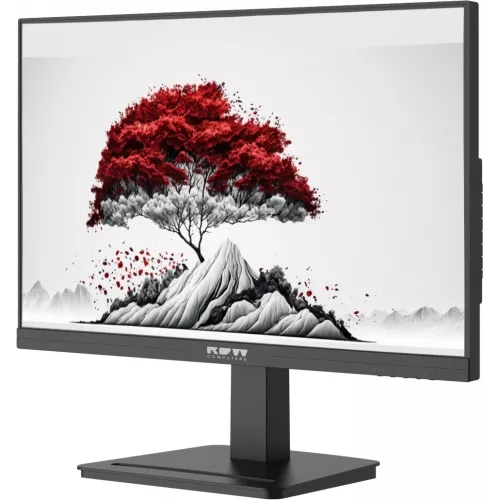 Монитор RDW Computers 23.8" RDW2401K черный IPS 4ms 16:9 HDMI M/M матовая HAS Piv 1200:1 300cd 178гр/178гр 1920x1080 100Hz VGA DP FHD 1.7кг (RUS)