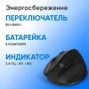 Мышь Оклик 688MW ERGO черный оптическая 2400dpi silent беспров. BT/Radio USB 6but (2070320)