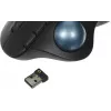Трекбол Logitech M575S черный оптическая 2000dpi беспров. BT/Radio USB 4but (910-007035)
