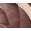 Кулер для корпуса/ Case Cooler Noctua NF-A12x25 5V PWM (120x120x25mm, 4-pin PWM, 56.65CFM, 21.4dBA, 1900RPM, Beige/Brown)