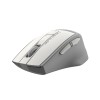 Купить беспроводную оптическую мышь A4Tech Fstyler FG30 белый/серый, 2000dpi, 6 кнопок - идеальный выбор для комфортной работы