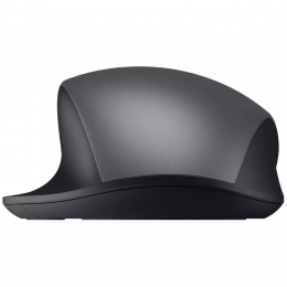 Мышь Xiaomi Comfort Edition черный оптическая 1200dpi silent беспров. USB 2but (BHR9359GL)