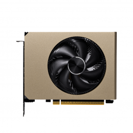 Видеокарта/ GeForce RTX 5060 8G INSPIRE ITX OC