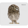 Defender Коврик для компьютерной мыши Wild Animals 220x180x2 мм, 8 видов