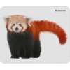 Defender Коврик для компьютерной мыши Wild Animals 220x180x2 мм, 8 видов