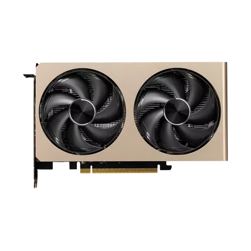 Видеокарта/ GeForce RTX 5060 8G INSPIRE 2X