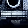 Купить оперативную память Kingston 32GB DDR5 5600MT/s CL36 DIMM FURY Beast White EXPO - Высокая производительность для геймеров и профессионалов