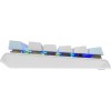 Клавиатура A4Tech FS100 Механическая для Геймеров с LED Подсветкой и USB Подключением, Длина Кабеля 1.8м