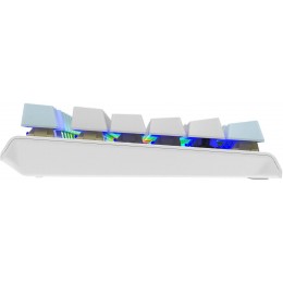 Клавиатура A4Tech FS100 механическая синий USB for gamer LED кабель 1.8м