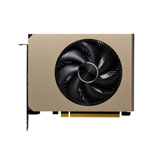 Видеокарта/ GeForce RTX 5060 8G INSPIRE ITX OC