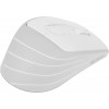 Мышь A4Tech Fstyler FG30S белый/серый оптическая 2000dpi silent беспров. USB 6but (FG30S WHITE)