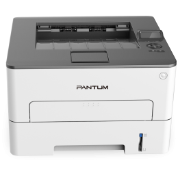 Принтер лазерный/ Pantum P3010DW