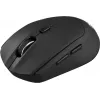 Беспроводная оптическая мышь Acer OMR040 (1600dpi, USB, 6 кнопок) - Черная