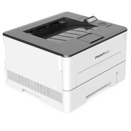 Принтер лазерный/ Pantum P3010DW