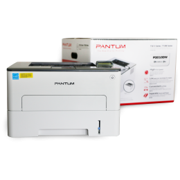Принтер лазерный/ Pantum P3010DW