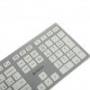 Клавиатура A4Tech FX50 белый USB slim Multimedia (FX50 WHITE) каб.:1.5м