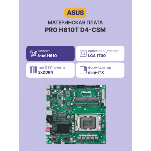 Материнская плата/ PRO H610T D4-CSM