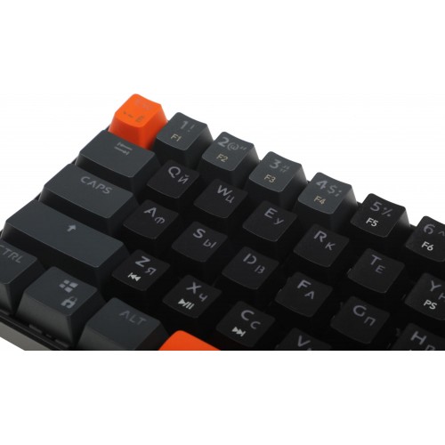 Клавиатура DEFENDER USB APEX GK-002 RU 45003