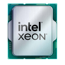 Процессор/ CPU LGA1700 Intel Xeon 6369P (Raptor Lake, 8C/16T, 3.3/5.7GHz, 24MB, 95W) OEM