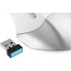 Мышь A4Tech Fstyler FB35: Оптическая беспроводная мышь 2000dpi в белом/сером цвете для ноутбуков