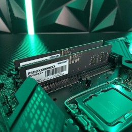 Оперативная память DDR5 32GB 5600MHz Patriot PSD532G56002 Signature RTL PC5-44800 CL46 DIMM 288-pin 1.1В dual rank Ret [PSD532G56002]